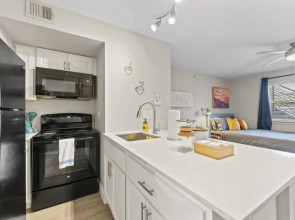 Comfy Studio Close to Downtown and Domain
