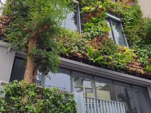 Tripporo - Homestay