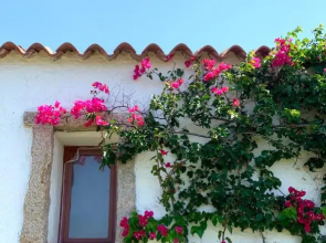 Susy house