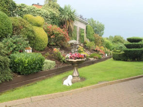 The Meadows B&B