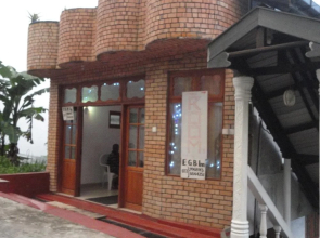 New Eagle Best Inn