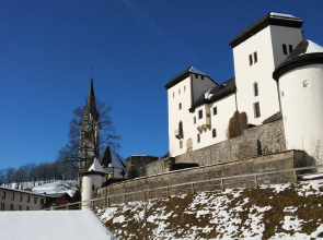 Spacious Holiday Home in Goldegg near Ski Lift