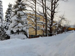 Storczyk