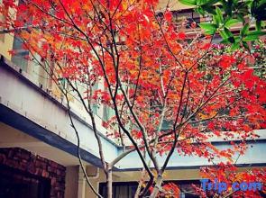 Sweetome Resorts (Qingcheng Shanju)