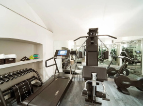 Trevi Palace Luxury Inn