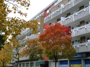 Classic Apartment