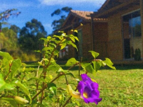 Chalé das Bromélias - Praia do Rosa-SC