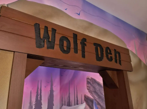 Great Wolf Lodge Webster