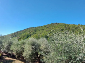Holiday Home in Tuscany Near Lucca