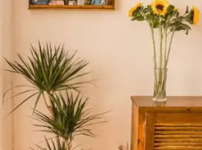 Hostal Jomarijo