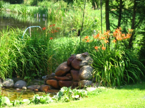 Rekowo Rekowo in Rekowo