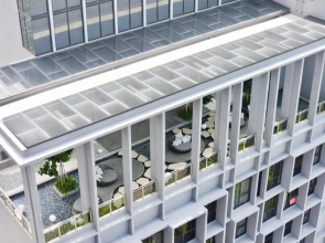 Expressionz By Sleepy Bear