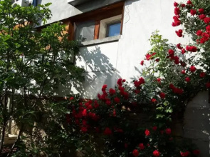 Diana Guesthouse