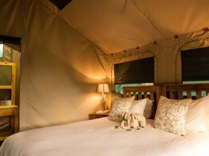 Rukiya Safari Camp