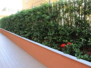 Salva Gente - bed and breakfast