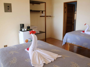 Surf Synergy All-Inclusive Surf Retreat