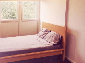 Hamounds Holiday House