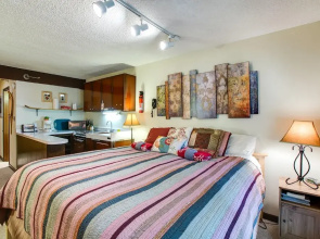 Snowline Lodge Condo #46 - Great for Skiers and Hikers on a Budget! Now has Wifi