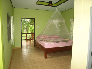 Khaosok Palmview