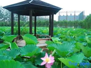 Norinco Skylight Resort