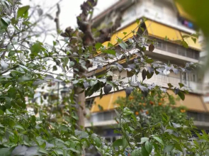 Harokopio Apartment in Athens