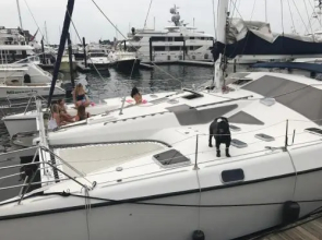 s/v Chaton Mouille'