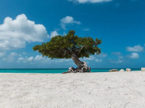 HH-2Bdr510 - Luxury Oceanfront Modern apartment in Aruba