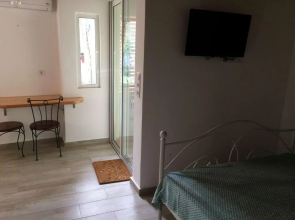 Vitis Vinifera Tranditional Studio Apartment