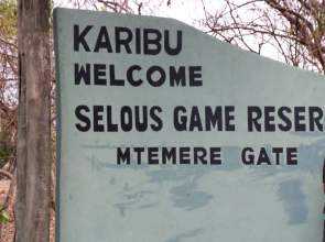 Africa Safari Selous