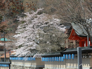Atarashiya Ryokan - Dorogawa-onsen Hot Spring
