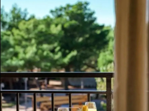 Unique Pool View Room With Breakfast Included