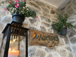 El Abejaruco
