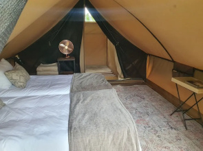 Bundox Explorer Camp