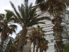 MOURAT Holiday Apartment Flat Furnished House Cheap Sleeping Rooms