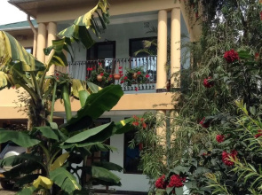 Papagei Home