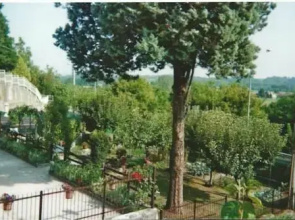 Residence Le Betulle Executive