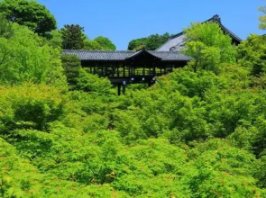 Machiya Kushige