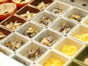 Dormy Inn Premium Kyoto Ekimae Natural Hot Spring