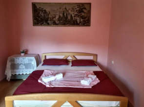 Apartments Vitic