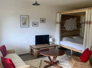 Appartement 1,5 pièce