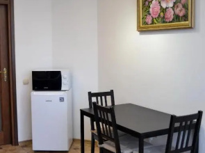 Sunny apartment in the city Center