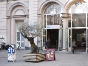 LHP Suite Napoli - Parco Margherita