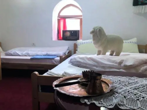 Eko Katun Rosi Old Tower