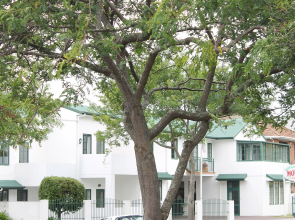 Greenlane Manor Motel