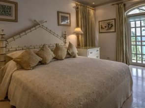 Old Trees 201 - The Casuarinas