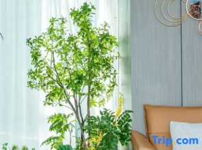 Jun Yue Ju Hotel (Haixi International Plaza)