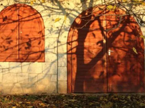 Myrtus Pince és Vendégház