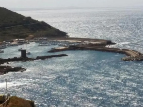 Cavalluccio Marino