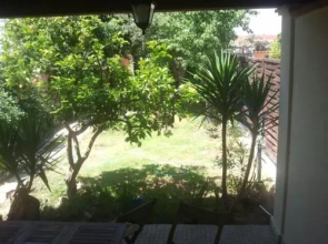 Is Pardinas