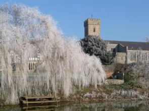 The Harbour Guest House